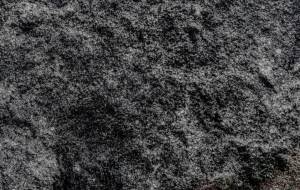 さくら、デジタル - 久保田　俊 