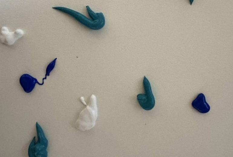 アール・ブリュット挑戦