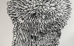 アール・ブリュット挑戦 - 笹谷正博 