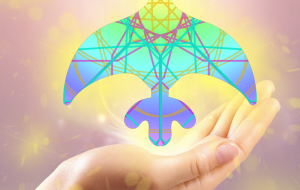 飛び立つ - ha7.yuki