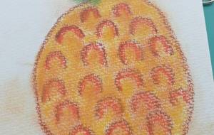 パイン - かづみ