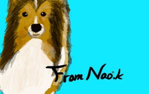 シェルティ - nao.k 