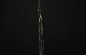 生活歯ブラシ、生きてる（みんなの尊い日常） - 真鍋哲地 