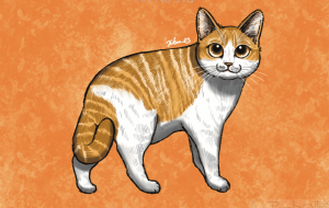 振り向き猫 - Yukari