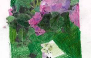 紫陽花のイラスト - 【イベント】可能性アートプロジェクト 2026 