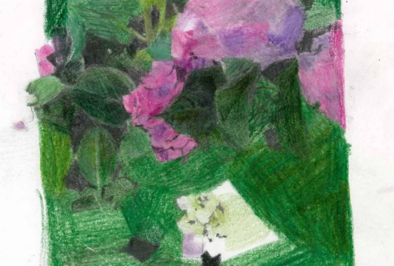 紫陽花のイラスト