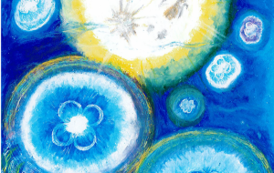 水海月 - 【イベント】可能性アートプロジェクト 2026 