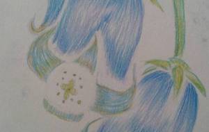 わたしはいつか…あなたのもとへ… - サオリ 