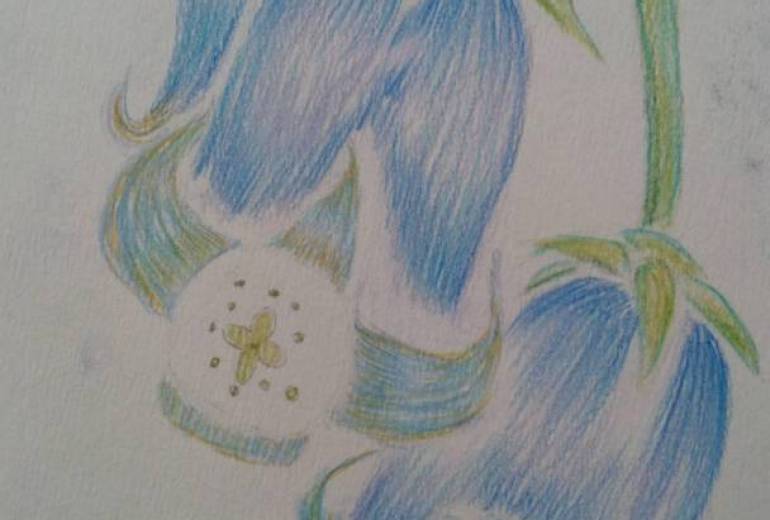 わたしはいつか…あなたのもとへ…