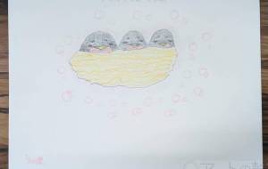 つばめの赤ちゃん - marina♡ 