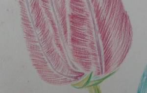 青いハート - サオリ 