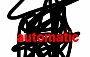 アール・ブリュット挑戦 - 笹谷正博