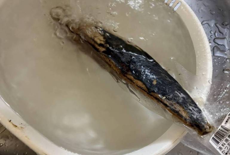 カツオのタタキ