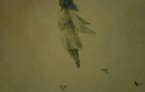 私聴覚障がい者だけどね、鳥達と歌うの、私翼がある天使なの - 真鍋哲地 