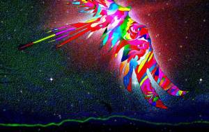 HOSHIDAMA（星魂） - 【イベント】可能性アートプロジェクト 2026 