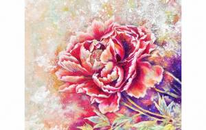 香音 - 【イベント】可能性アートプロジェクト 2026 