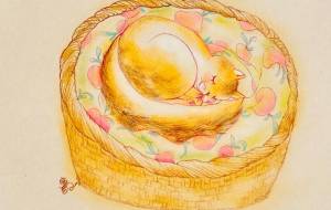 ゆっくりおやすみ - 【イベント】可能性アートプロジェクト 2026