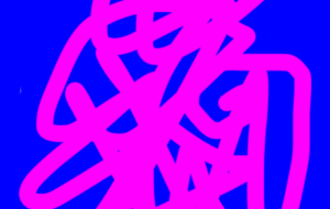 アール・ブリュット挑戦 - 笹谷正博