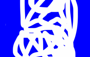 アール・ブリュット挑戦 - 笹谷正博 