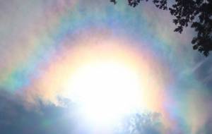 レインボー - naomi