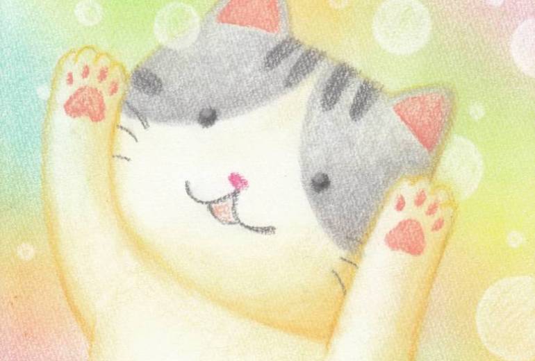 希望に満ち溢れた猫