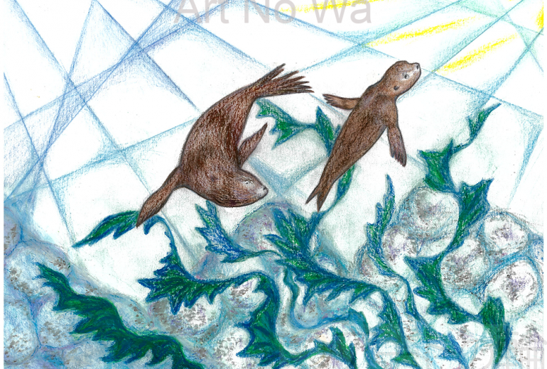 アシカのアシタ