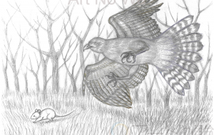 ハラもハネもヒュ～ン！ - 【イベント】可能性アートプロジェクト 2026 