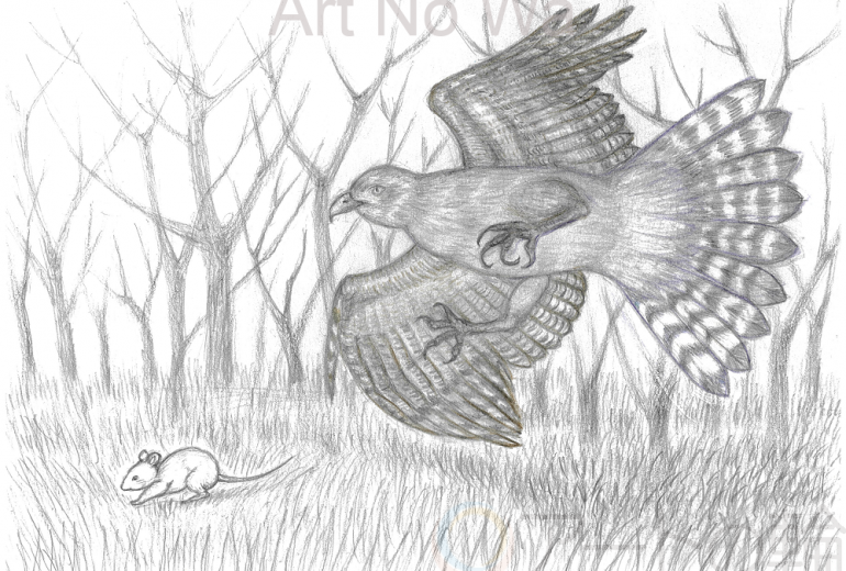 ハラもハネもヒュ～ン！