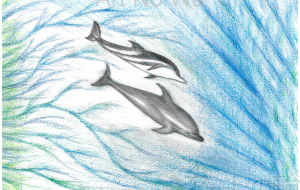 ヒカリのイルカ - 【イベント】可能性アートプロジェクト 2026