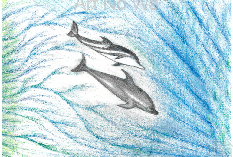 ヒカリのイルカ