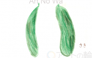 夏野菜 - さきちゃん 