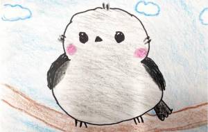 シマエナガ - あき。 