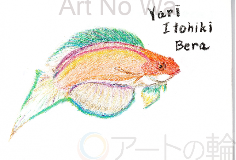 ヤリイトヒキベラ