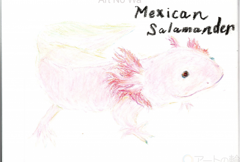 ウーパールーパー