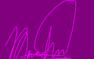 アール・ブリュット挑戦 - 笹谷正博