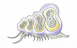 メカグミタニシ - 【イベント】可能性アートプロジェクト 2026