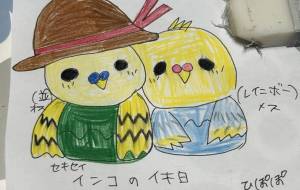 セキセイインコの休日 - ひぽぽ 