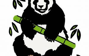 ジャイアントパンダ - シマハイエナ 