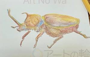 カブトムシ - タカツキミドリ