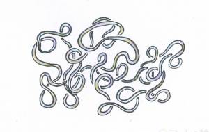 線虫ベリーマッチ - 【イベント】可能性アートプロジェクト 2026 