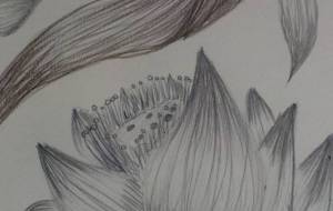 ルータス - サオリ