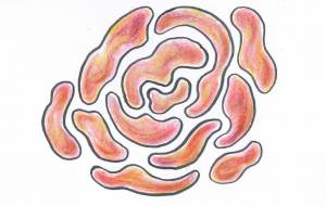 食道の薔薇 - 【イベント】可能性アートプロジェクト 2026 