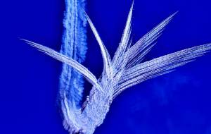 天空の羽衣 - 篠田光雄 