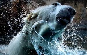 ぶるるんこ - 篠田光雄