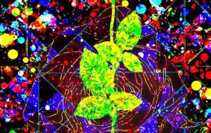 Wishing on the Blue Moon -Maturity- - 【イベント】可能性アートプロジェクト 2026 