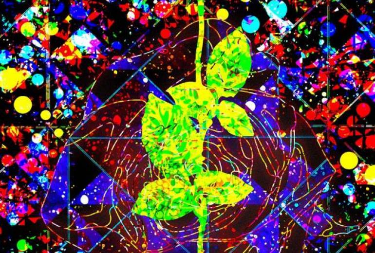 Wishing on the Blue Moon -Maturity-