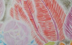 個性的な日本の花 - サオリ 