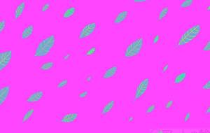 わかばの壁紙 - 【イベント】可能性アートプロジェクト 2026 