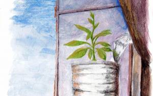 可能性の芽 - 【イベント】可能性アートプロジェクト 2026 