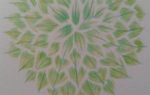 玉葱の花2 - サオリ